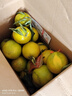 金秋福猴正宗红橙廉江红橙红江农场橙子红心橙湛江红光橙现摘特产礼盒当季 一箱净重10斤精装果彩箱送礼推荐 自产自销 正宗廉江红橙 实拍图