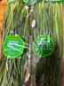 绿色韭菜250g 实拍图