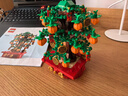 乐高（LEGO）40648 金钱树 新春系列男女孩积木玩具粉丝圣诞节礼物 实拍图