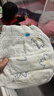 京东京造婴儿拉拉裤尿不湿纸尿裤Cloud云柔XL34片(12-17kg)超薄透气 实拍图
