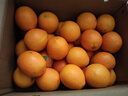 土八鲜江西橙子赣南脐橙新鲜水果赣州脐橙手剥甜橙礼盒 净重9-10斤【单果径60-69mm】 实拍图