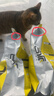 台派猫粮20斤装营养均衡美短蓝猫布偶成猫专用全种猫通用型猫干粮10kg 实拍图