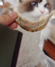 疯狂的主人多春鱼冻干猫零食350克小鱼干满籽增肥发腮补钙成猫幼猫补充营养 实拍图