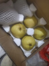 冰糖雪梨10斤应季水果新鲜特级梨子河北雪花梨赵县秋梨膏整箱包邮 净重9斤【大果】回购率高 实拍图
