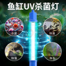 森森（SUNSUN）鱼缸UV杀菌灯紫外线鱼池除藻净水灭菌灯 【可定时】11W石英杀菌灯+定时器 贈抑菌盐 实拍图