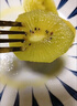 佳沛（zespri）新西兰 阳光金奇异果12粒礼盒特大果单果约122-146g 猕猴桃 水果 实拍图