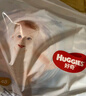 好奇（Huggies）金装拉拉裤XL96片(12-17kg)尿不湿【速干不易红】 实拍图