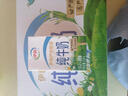 伊利纯牛奶整箱 250ml*24盒 优质乳蛋白 严选牧场 礼盒装 8月底产 实拍图