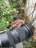 腾龙（Tamron）A063Z 28-75mm F/2.8 Di III VXD G2 大光圈标准变焦 尼康全画幅微单镜头 风光人像（尼康Z卡口） 实拍图