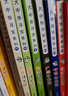 大中华寻宝记系列·儿童中国地理科普知识百科漫画书（17-20册套装共4本）（广东/辽宁/香港/贵州） 暑假作业 一升二暑假衔接 小升初暑假衔接 实拍图