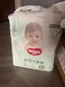 好奇（Huggies）心钻装小森林拉拉裤XXL30片(15kg以上)加加大号尿不湿夏季超薄 实拍图