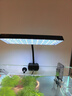 尼奥光鱼缸灯水草灯LED灯S3proRGB植物光谱 13W新款尼奥S3pro+【高亮自然版双倍亮度】 实拍图