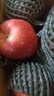 京鲜生甘肃天水花牛苹果 净重4.5斤装单果170g+ 生鲜水果 源头直发 实拍图