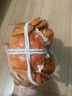 【活蟹】阳澄联合鲜活大闸蟹现货全母2.5-2.8两 8只生鲜螃蟹大只去绳足重海鲜礼盒 实拍图