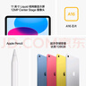 Apple/苹果 iPad11英寸 A16芯片2025年款 平板电脑 (256GB WLAN版/学习办公娱乐)蓝色 实拍图