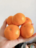 京地达浙江临海涌泉蜜桔新鲜水果橘子桔子重4.5斤单果65mm源头直发包邮 实拍图