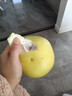 梅州红肉蜜柚白心柚子红柚子新鲜水果碌柚万澄非沙田柚非三红柚 梅州白肉蜜柚 【试吃】蜜柚1粒 净重1.4-1.8斤 实拍图