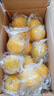 京鲜生 安岳黄柠檬 8粒 单果95-120g 生鲜水果 实拍图