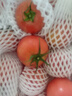 京鲜生 山东普罗旺斯沙瓤西红柿 净重3斤 单果90g起 沙瓢番茄 源头直发 实拍图