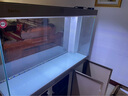 森森（SUNSUN）大型鱼缸底过滤水族箱客厅家用落地玻璃生态金鱼缸 【实时温显+灯控】宝马灰 1.2米长35cm宽 实拍图
