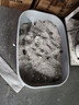 比亿奇猫砂膨润土无尘除臭猫砂多香味快速结团猫沙10kg猫咪用品 【除臭猫砂】木薯混矿20斤 实拍图