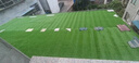 假草皮仿真草坪绿色地毯户外人造塑料人工仿生室外隔热围挡足球场 2厘米新升级加密优质春草 【1米宽/1米长】需要几米长拍几米（整卷25米） 实拍图