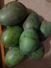 京鲜生 攀枝花凯特芒果 净重8.5斤 带箱9斤 单果500g+ 生鲜水果源头直发 实拍图