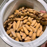 每果时光巴西松子2025新货大颗粒长粒阿富汗手剥松子进口坚果干果零食送礼 【大颗粒】大罐1斤：净重500g*1罐 实拍图