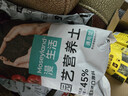 漫生活进口营养土3L通用有机种菜土养花土园艺绿植花卉绿萝盆栽基质土壤 实拍图