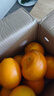 集南鲜 赣南脐橙 江西橙子新鲜现摘水果脐橙时令生鲜水果甜橙 水果礼盒 净重4.5斤 精品橙 单果160-220g 实拍图