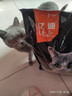 亿迪 猫粮10斤幼猫成猫老年全价全阶段蓝猫英短通用粮大包装 实拍图