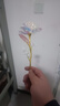 七彩炫光玫瑰花星空彩金浪漫情人节七夕送老婆女友生日礼物金箔 彩金玫瑰花【75%以上选择】 【送它一朵永不凋零的爱意玫瑰】 实拍图