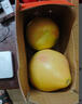福建平和老树红柚 新鲜现摘 皮薄肉厚多汁 蜜柚柚子 带箱9-10斤（两粒装） 实拍图
