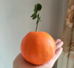 京鲜生 四川爱媛38号果冻橙 净重8.5-9斤 单果210g+ 源头直发包邮 实拍图