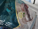 海鼎纪鲜切鱿鱼须净重900g 海鲜 烧烤火锅 铁板鱿鱼 300g/包*3包 实拍图