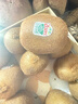 佳沛（zespri）新西兰 阳光金奇异果12粒礼盒特大果单果约122-146g 猕猴桃 水果 实拍图