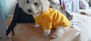 欢宠网宠物狗狗衣服猫咪猫小狗小猫泰迪比熊猫猫小型犬幼犬冬季保暖服饰 实拍图