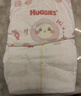 好奇（Huggies）铂金装小桃裤纸尿裤M144片(6-11kg)中号尿不湿【透爽散热】 实拍图