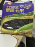 十月稻田 黑糯玉米 3.52斤(220g*8根) 东北甜黏玉米棒 早餐苞米 低脂零食 实拍图