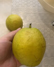 京鲜生 新疆特级库尔勒香梨 净重5斤单果120g以上 生鲜水果 实拍图
