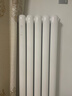 圣劳伦斯暖气片家用水暖壁挂式全屋采暖客厅卧室定制钢制暖气片柱式大水道 【店铺爆款】钢制新60宽 60mm*1柱 高1800mm(3柱起订) 实拍图