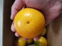 京鲜生 云南哀牢山冰糖橙/橙子 净重5斤 单果130g-170g 生鲜水果礼盒 实拍图