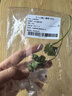 【一人食】香菜100g 实拍图