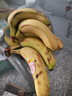 黄胖子进口香蕉650g 实拍图