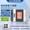 力辰（LICHEN）实验室电热恒温干燥箱15.6L工业烤箱高温烘箱烘干箱LC-202-00 实拍图