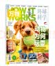 1-7月现货 万物杂志2026年/2025年订阅 8-15岁青少年科学科普 3D图解知识 中小学生课外科普百科通识知识 How it works 中文版期刊单月/半年/全年少儿阅读杂志铺非英文版 【现 实拍图