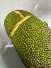 京鲜生海南菠萝蜜整个16-19斤 净重16斤生鲜水果 源头直发 实拍图