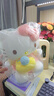 Hello Kitty三丽鸥毛绒玩具玩偶布娃娃抱枕送女友生日礼物女生 凯蒂猫公仔 实拍图