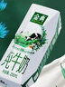 伊利【18天新鲜直达】金典纯牛奶250ml*16盒3.6g乳蛋白 礼盒装  实拍图