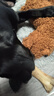 Lanswood 狗零食磨牙棒狗宠物狗狗玩具幼犬耐咬牛骨头泰迪比熊小型犬洁牙 牛棒骨大号二支装 送一只共三只 实拍图